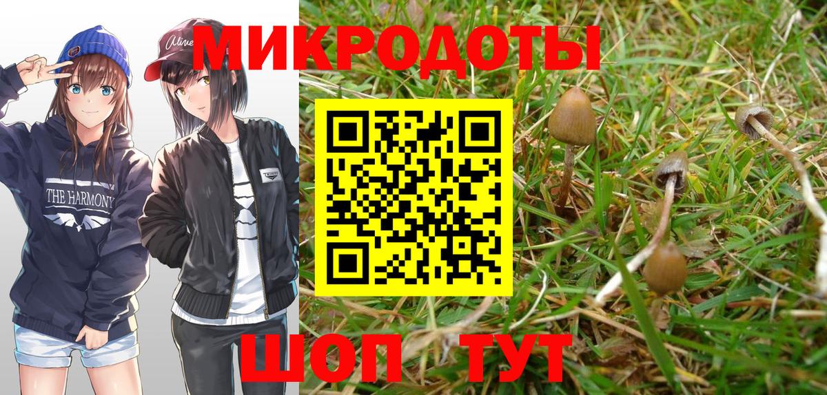 Когалым  Галлюциногенные грибы Psilocybe  Галлюциногенные грибы ЛСД  Вход с VPN 