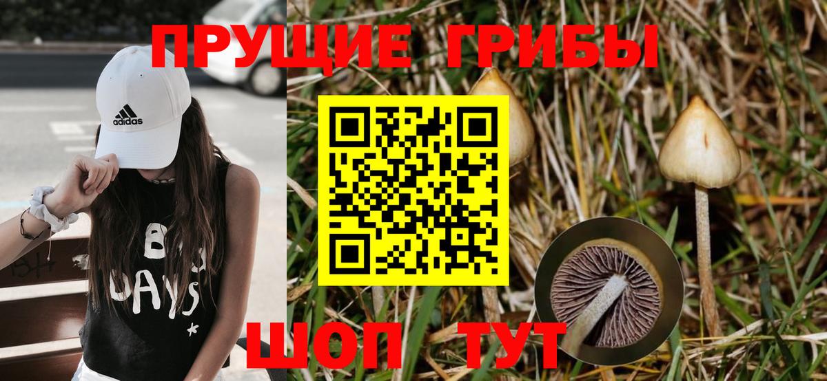 Псилоцибиновые грибы ЛСД Когалым